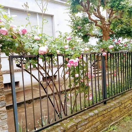 Villino Delle Rose Апартаменты Асти
